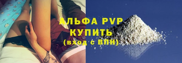 прущие грибы Каменка