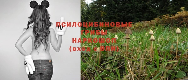 стаф Киреевск
