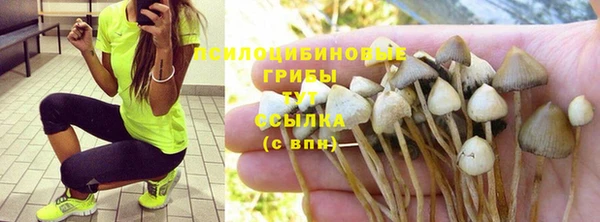 дмт Карпинск