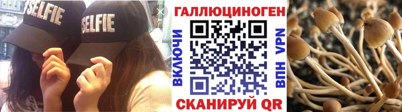 наркота  Котельники  Галлюциногенные грибы GOLDEN TEACHER 